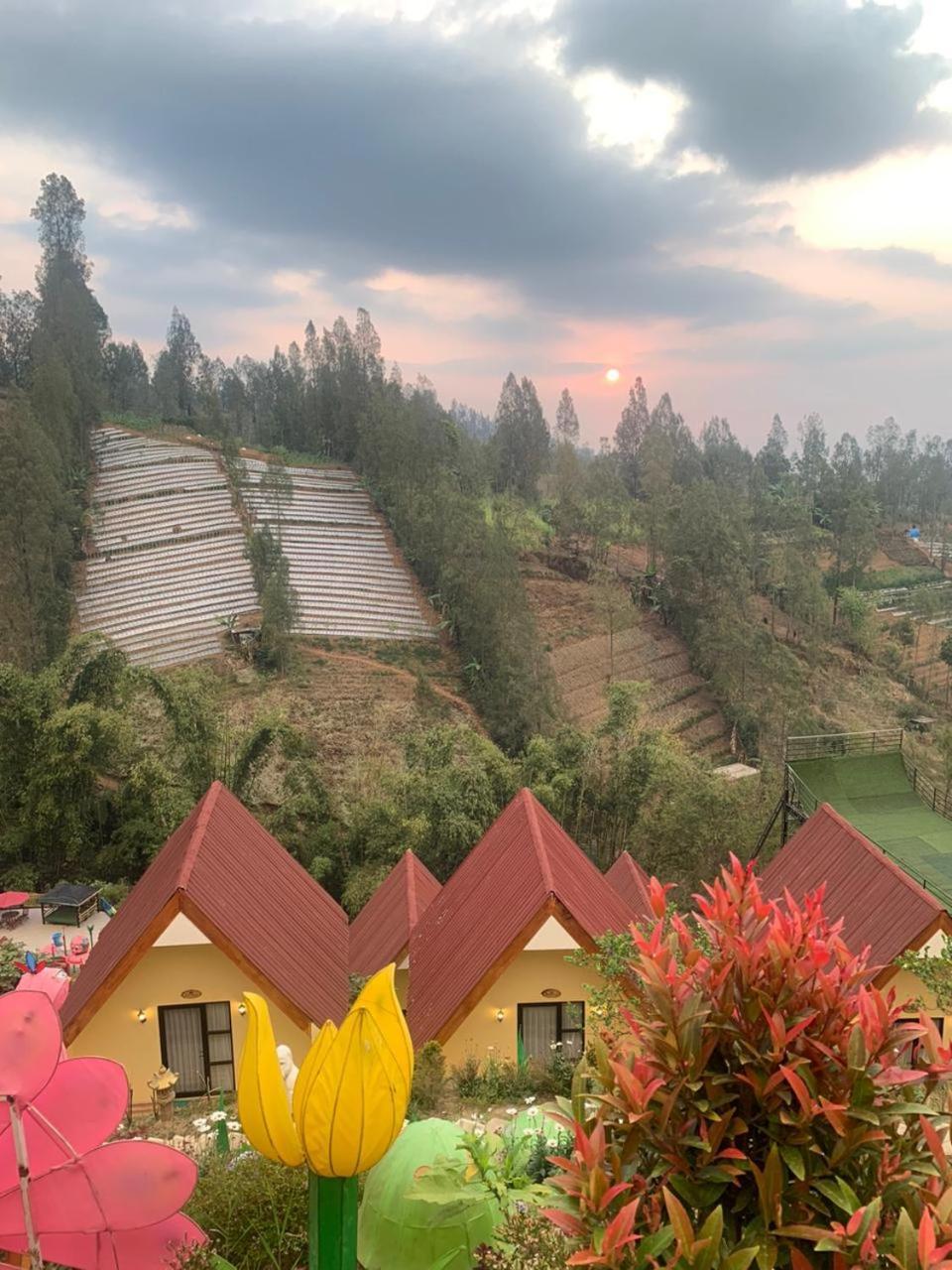 Hotel Nature Bromo And Resort Pasuruan Exteriör bild