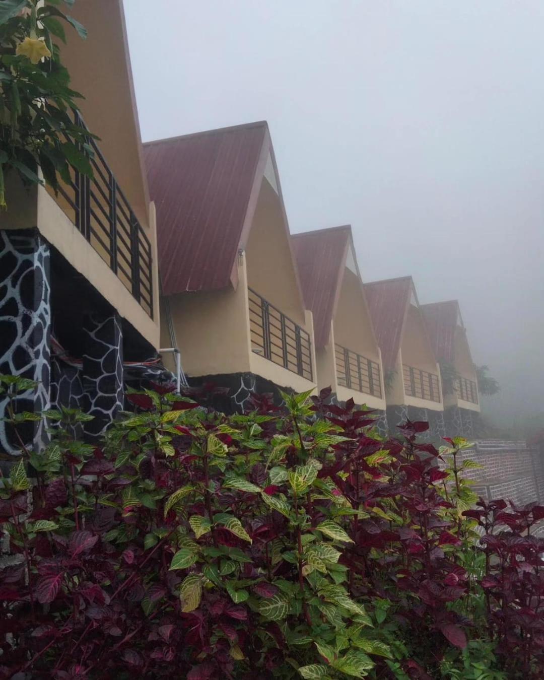 Hotel Nature Bromo And Resort Pasuruan Exteriör bild